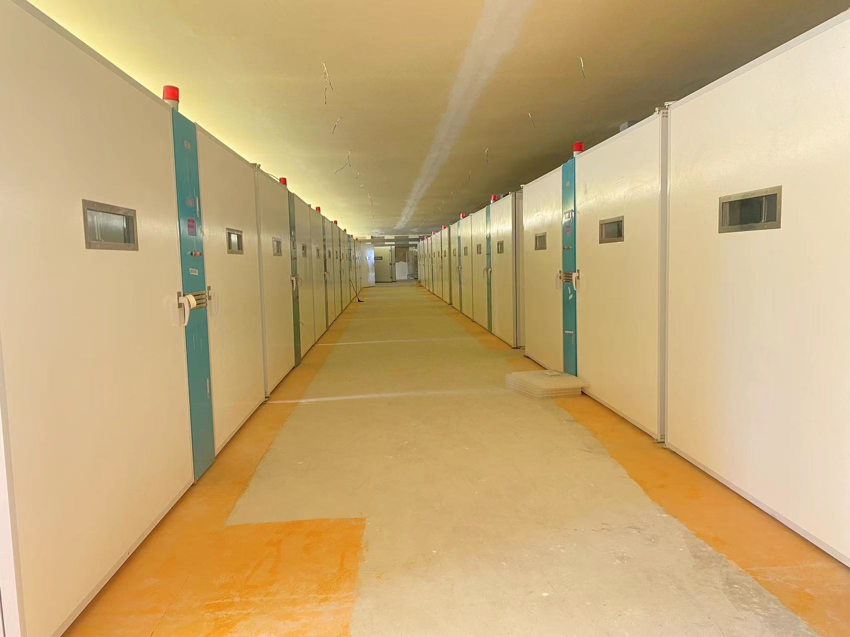 Laatste bedrijfsblogs Duurzame Pluimvee-oplossingen: Waarom Afrikaanse broederijen overstappen op roestvrij staal & glasvezel ELT-57600S