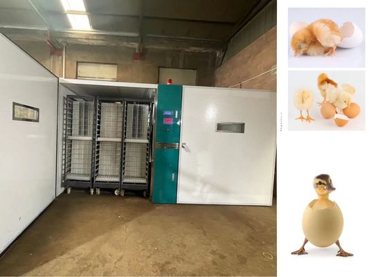 kopen 19200 Incubators van het Grote Schaalei broeden de Ganseieren uit van Eendenvogels online manufacture