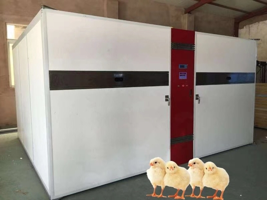 kopen Enige Stadiumincubator voor Temperatuurwaaier 30-70°C & Vochtigheidswaaier 30-90%RH online manufacture