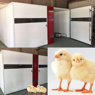kopen Industriële 1000W-Ei Uitbroedende Incubators met ±3%RH Vochtigheidsnauwkeurigheid online manufacture