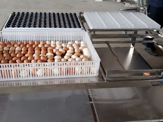 kopen Overdracht Commercieel Automatisch Ei die de Machine van het Lijstmateriaal schouwen online manufacture
