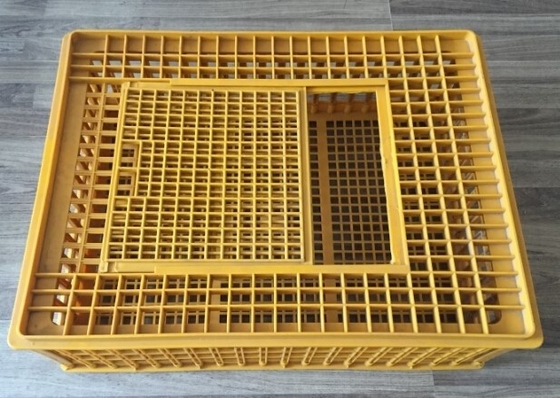 kopen Van het de Toebehorenvervoer van de kippenkippenren van de het Gevogeltekip Plastic Kooi 732x534x260mm online manufacture
