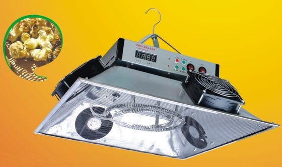 kopen Elektrische Gevogeltepiekeraar Heater Chicken Brooder Gas Heater voor Gevogeltelandbouwbedrijf online manufacture