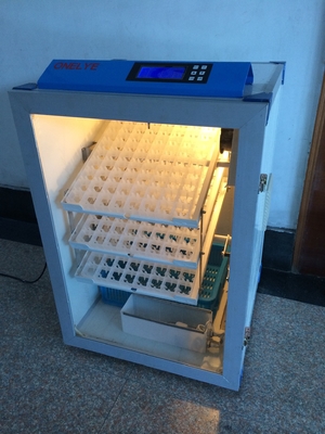 kopen Kwartels 500 de Incubator van de Eicapaciteit volledig het Automatische Zelf Draaien 350W online manufacture