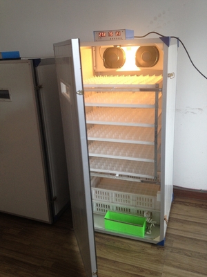 kopen Het Eiincubator van het 300 Schildpad Kleine Gevogelte voor Kippeneieren Zelf het Draaien Incubator online manufacture