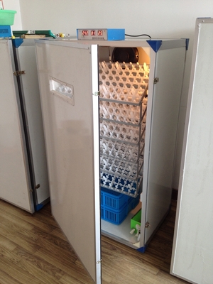 kopen Automatische de Incubator Uitbroedende Machine 600 van het Gevogelteei Eiincubator online manufacture