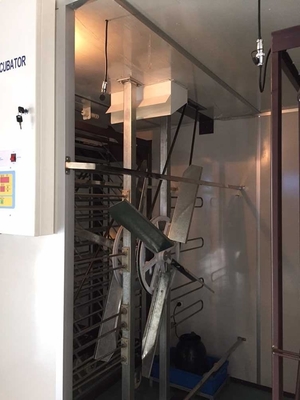 kopen 6000 de Digitale van de het Gevogeltekip van de Eiincubator Machine van het de Broedplaatsmateriaal online manufacture