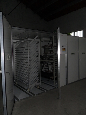 kopen Commerciële Enige de Zettermachine van de Stadiumincubator voor Eieren 18000 online manufacture
