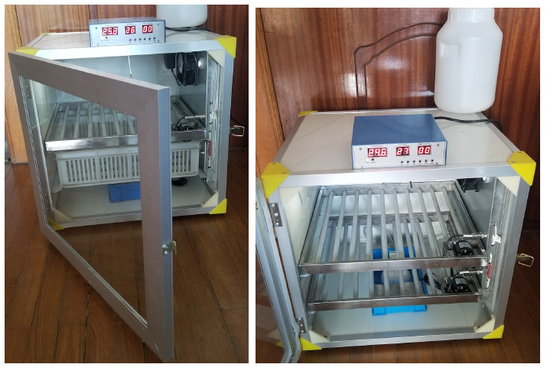kopen Exotische Vogelkwartels Hen Duck Egg Hatching Machine 60 Ei Automatische Incubator online manufacture