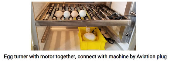kopen 40 Eieren Mini Commercial Goose Egg Incubators met Automatisch Turner Hen Hatching Machine online manufacture