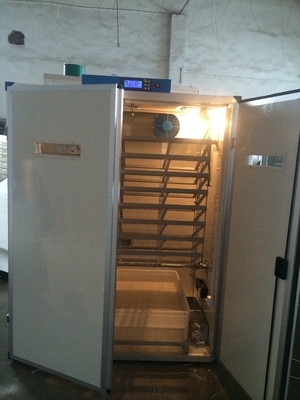 kopen De digitale Incubator Hatcher 7956 van de Eizetter de Uitbroedende Machine van het Kwartelsei online manufacture