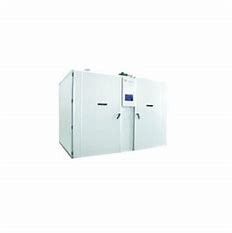 kopen Enige het Stadiumincubator van het 90 Eierenroestvrije staal van de Graadgans online manufacture