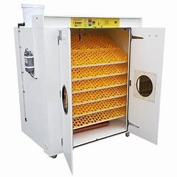 31824  Commercial Quail Egg Incubator Automatic Turner Heat  Adjustable