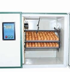 kopen 90 Graad 336 van de het Eiincubator van het Duifgevogelte het Intelligente Controleren van Hatcher online manufacture